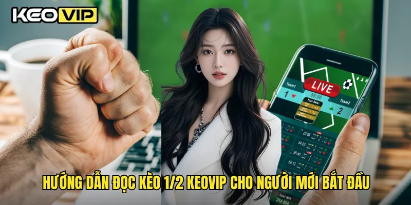 Kèo 1/2 Chi Tiết Và Bí Quyết Thắng Lớn Cùng Keovip 2 Hướng dẫn đọc kèo 1/2 Keovip cho người mới bắt đầu