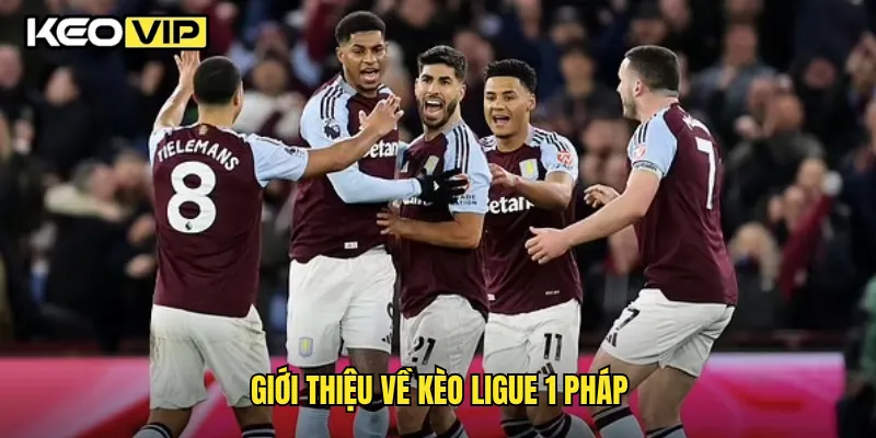Kèo Ligue 1 Pháp Toàn Diện Và Chiến Thuật Cược Hiệu Quả Từ Keovip 1 Giới thiệu về kèo Ligue 1 Pháp