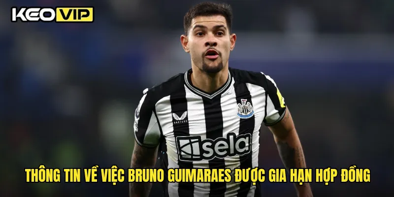 Bruno Guimaraes Được Gia Hạn Hợp Đồng Và Ảnh Hưởng Đến Kèo Cược Tại Keovip 1 Thông tin về việc Bruno Guimaraes được gia hạn hợp đồng