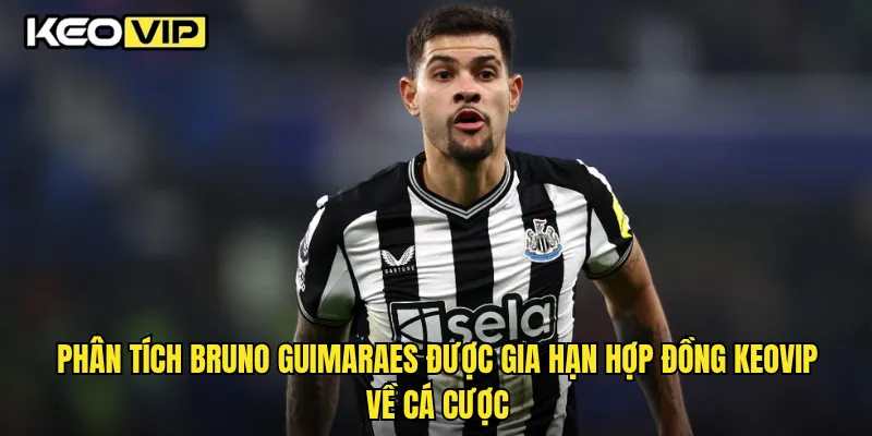 Bruno Guimaraes Được Gia Hạn Hợp Đồng Và Ảnh Hưởng Đến Kèo Cược Tại Keovip 2 Phân tích Bruno Guimaraes được gia hạn hợp đồng Keovip về cá cược