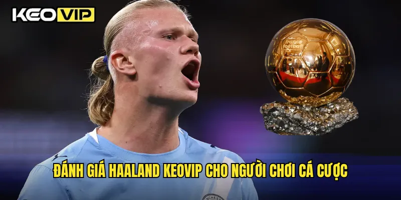 Haaland Cỗ Máy Ghi Bàn Của Man City Cập Nhật Mới Nhất Trên Keovip 2 Đánh giá Haaland Keovip cho người chơi cá cược