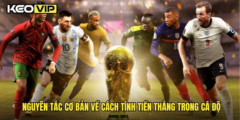 Nguyên tắc cơ bản về cách tính tiền thắng trong cá độ