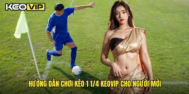 Kèo 1 1/4 Chi Tiết Và Chiến Thuật Chơi Thắng Tại Keovip 2 Hướng dẫn chơi kèo 1 1/4 Keovip cho người mới