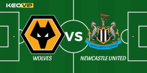 Wolves vs Newcastle