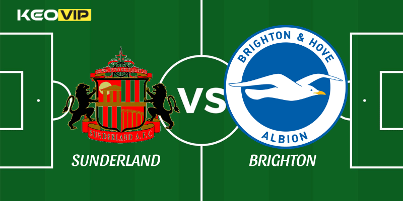 Sunderland vs Brighton